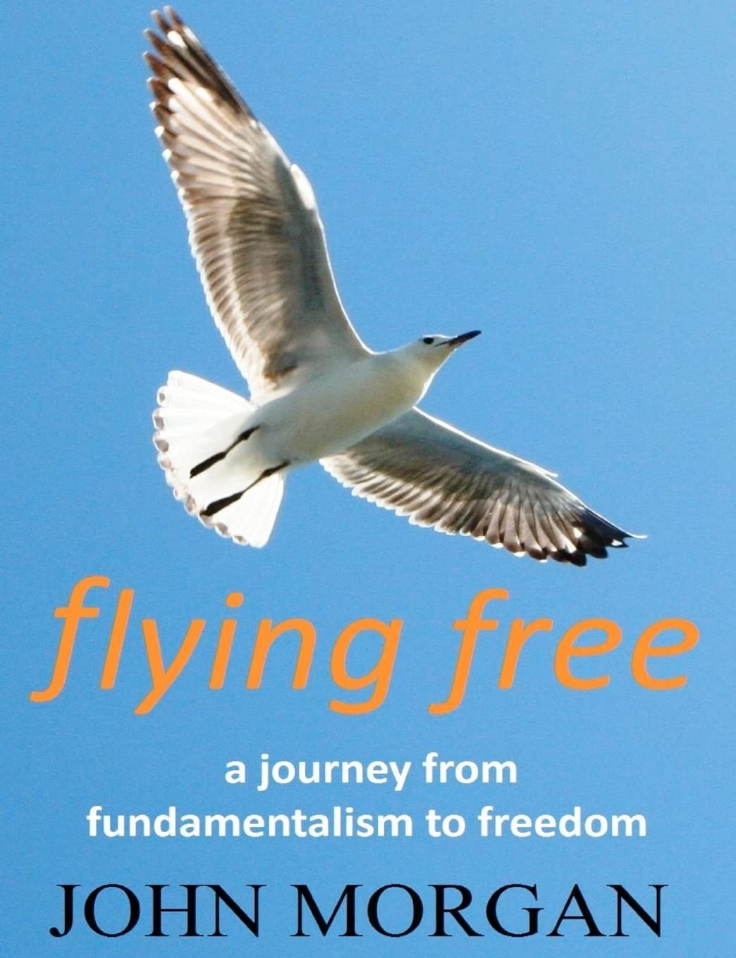 Flying Free: A Journey from Fundamentalism to Freedom,Used