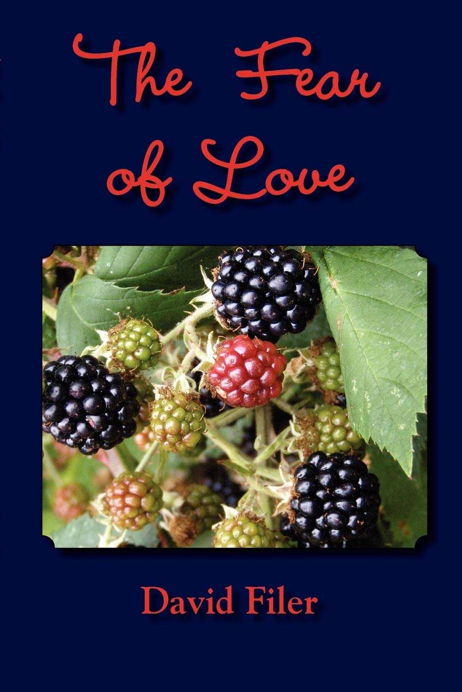 The Fear Of Love,Used