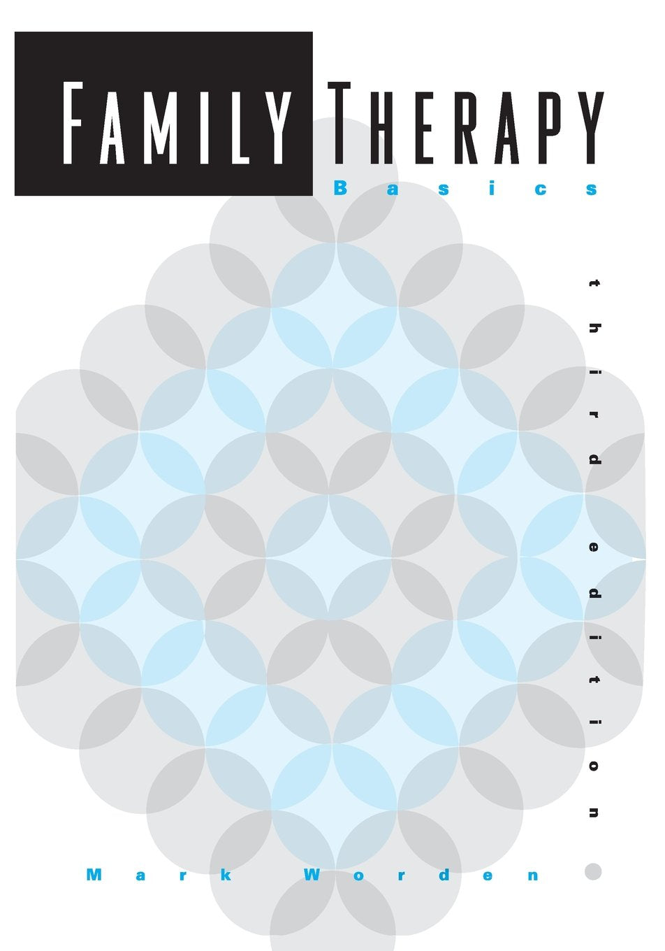 Family Therapy Basics (Marital, Couple, & Family Counseling),Used