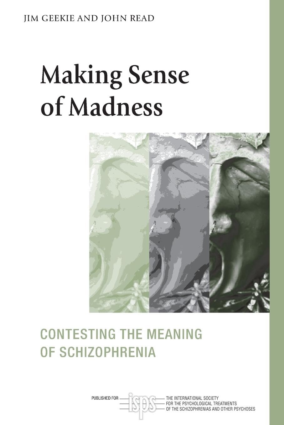 Making Sense of Madness (The International Society for Psychological and Social Approaches to Psychosis Book Series),Used