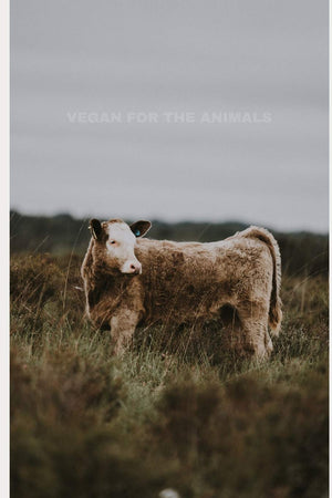 Vegan for the animals: simple notebook,Used