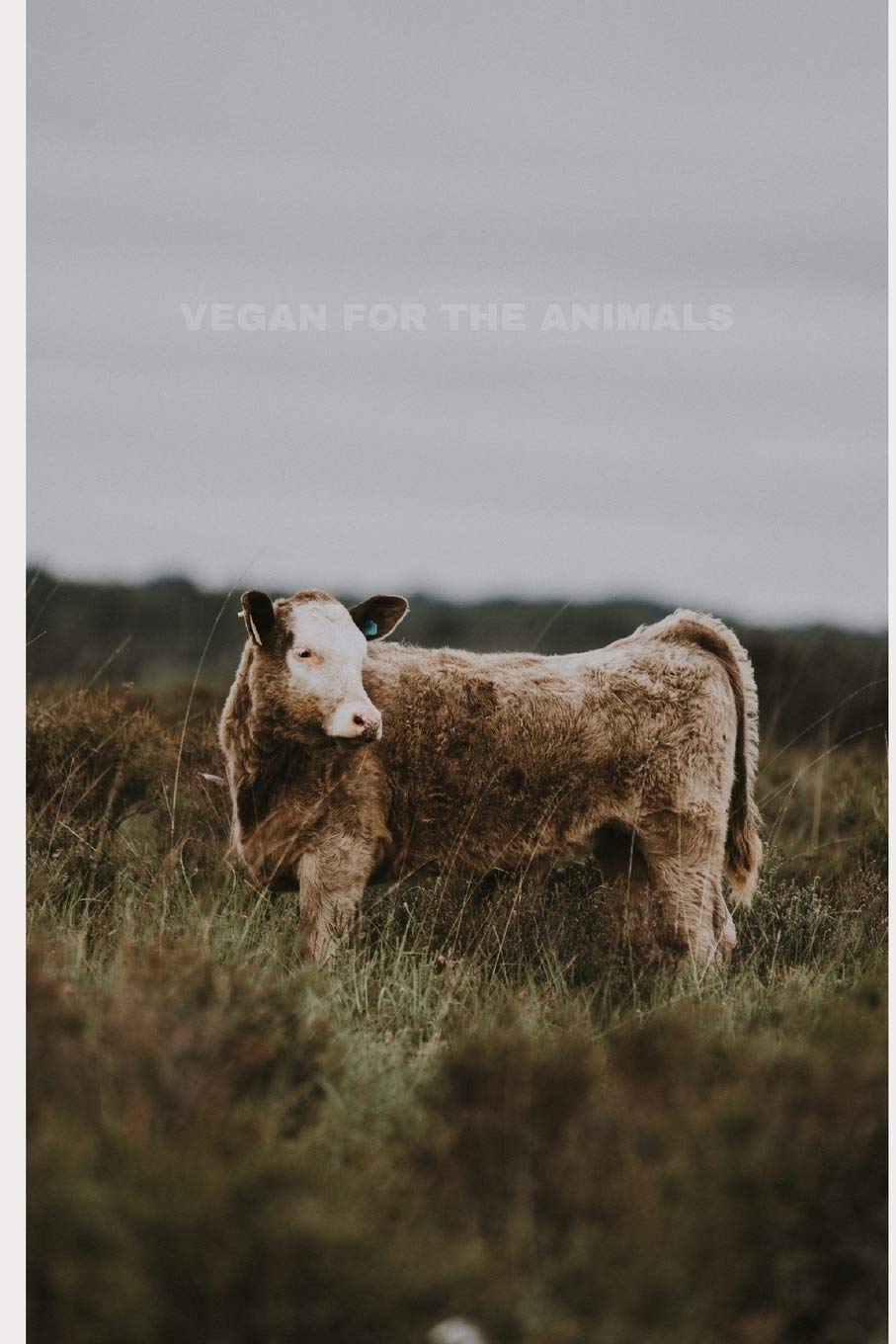 Vegan for the animals: simple notebook,Used