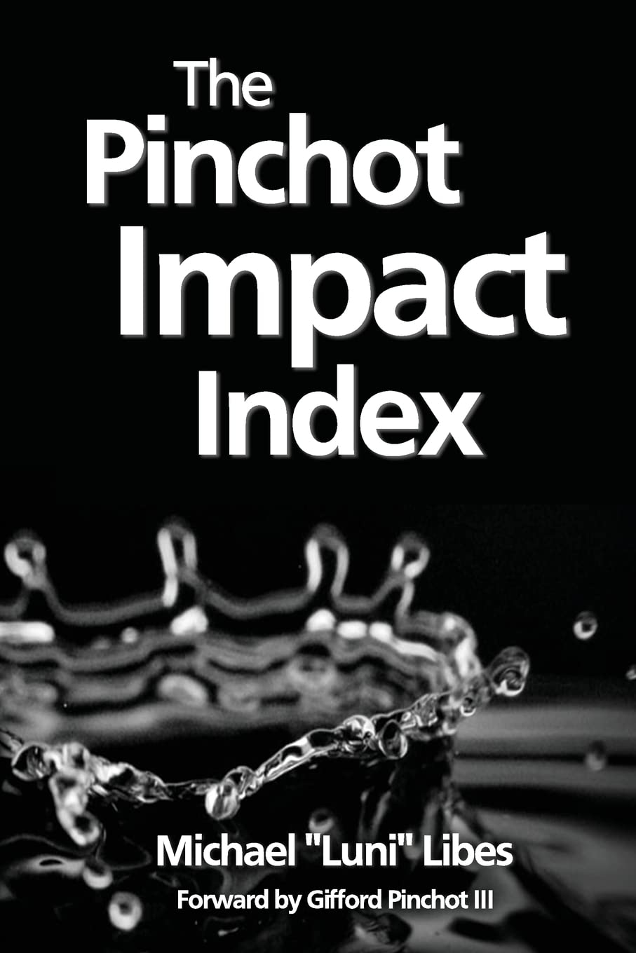 The Pinchot Impact Index: Measuring, Comparing, And Aggregating Impact,Used