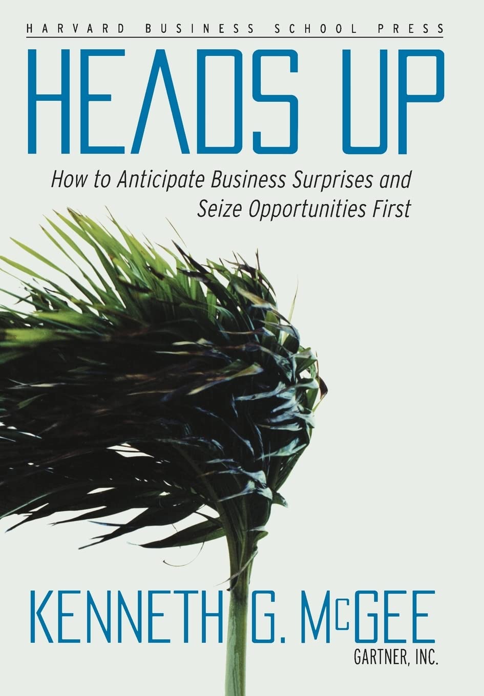 Heads Up: How to Anticipate Business Surprises and Seize Opportunities First,Used