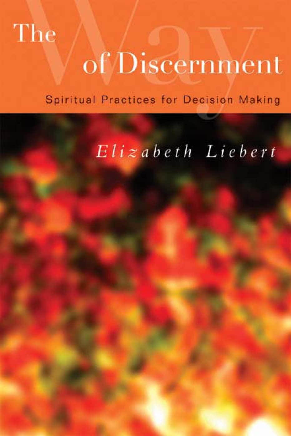 The Way Of Discernment: Spiritual Practices For Decision Making,New