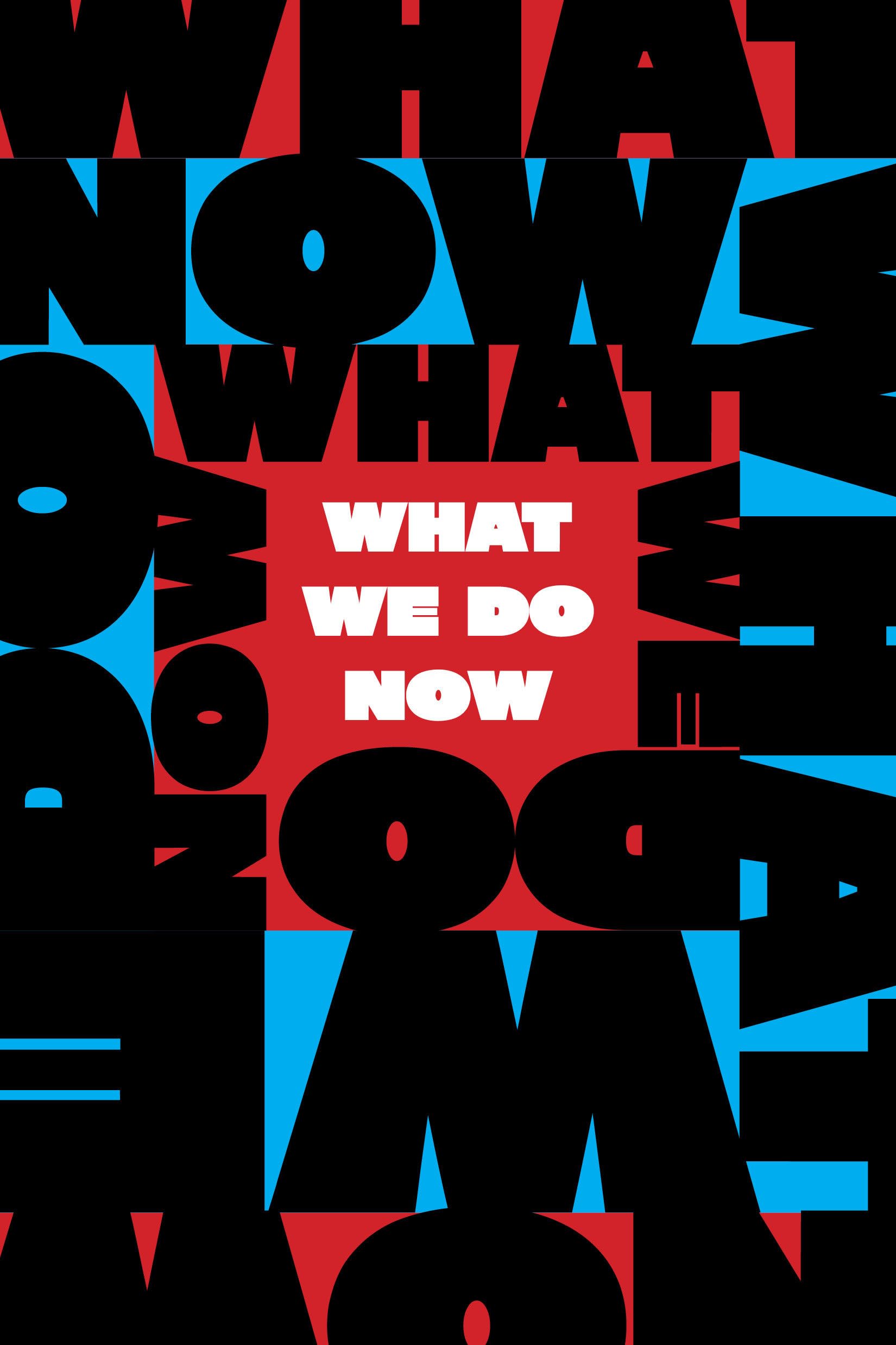 What We Do Now: Standing Up For Democracy In America