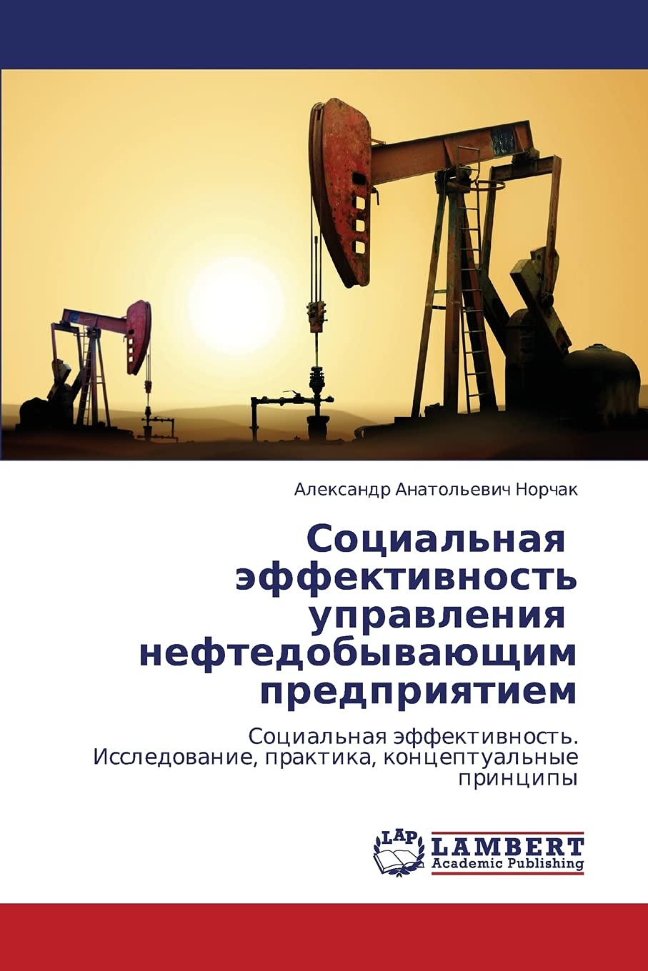 Sotsial'naya effektivnost' upravleniya neftedobyvayushchim predpriyatiem (Russian Edition),Used