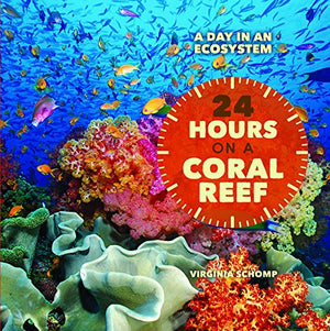 24 Hours on a Coral Reef (A Day in an Ecosystem),Used