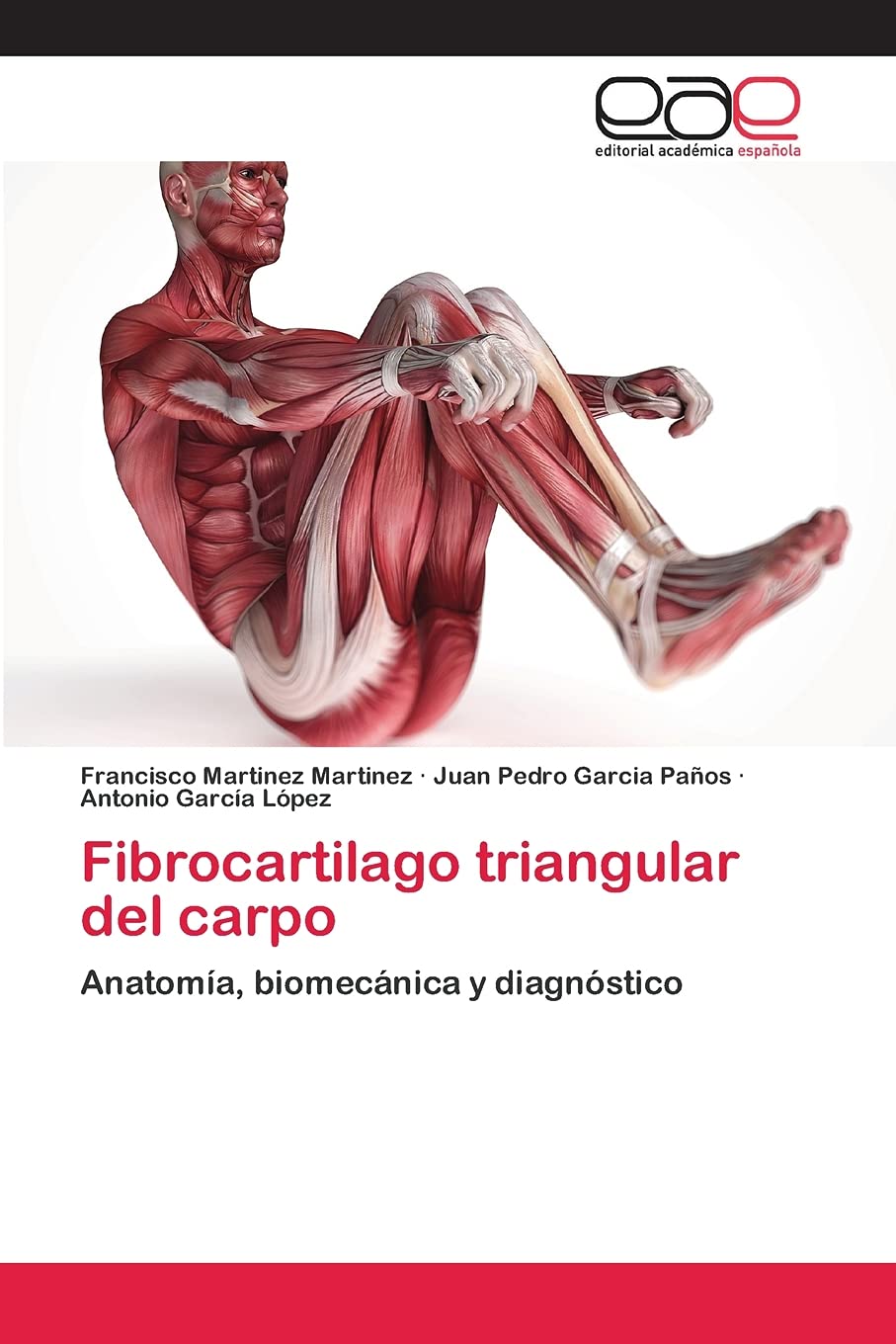 Fibrocartilago triangular del carpo: Anatoma, biomecnica y diagnstico (Spanish Edition),Used