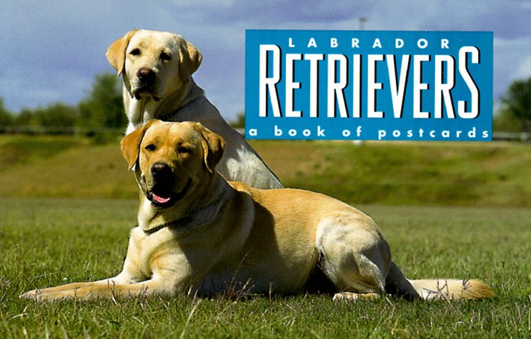 Labrador Retrievers: A Book of Postcards,Used