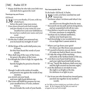 NRSV XL with Apocrypha (burgundy),Used