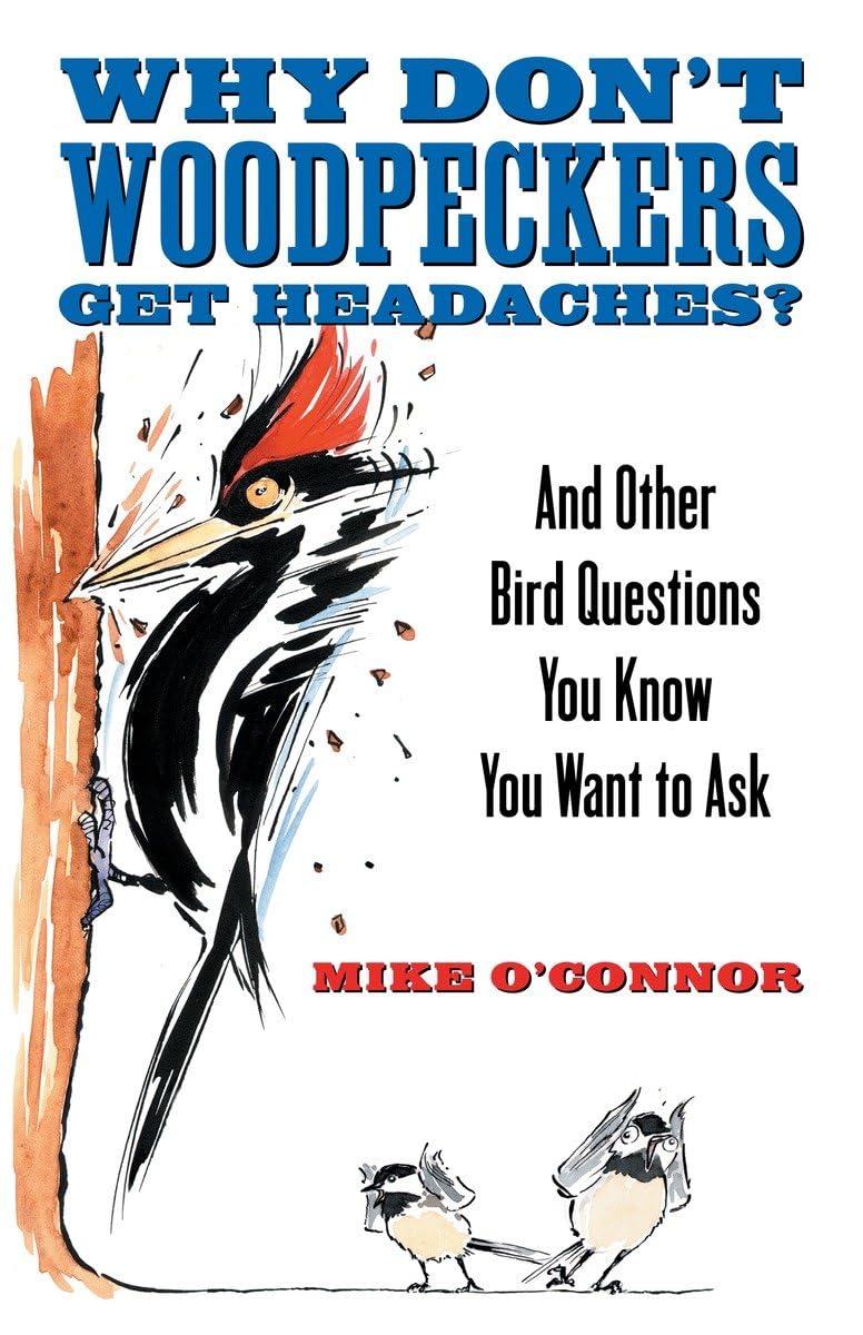 Why Don'T Woodpeckers Get Headaches?: And Other Bird Questions You Know You Want To Ask,Used