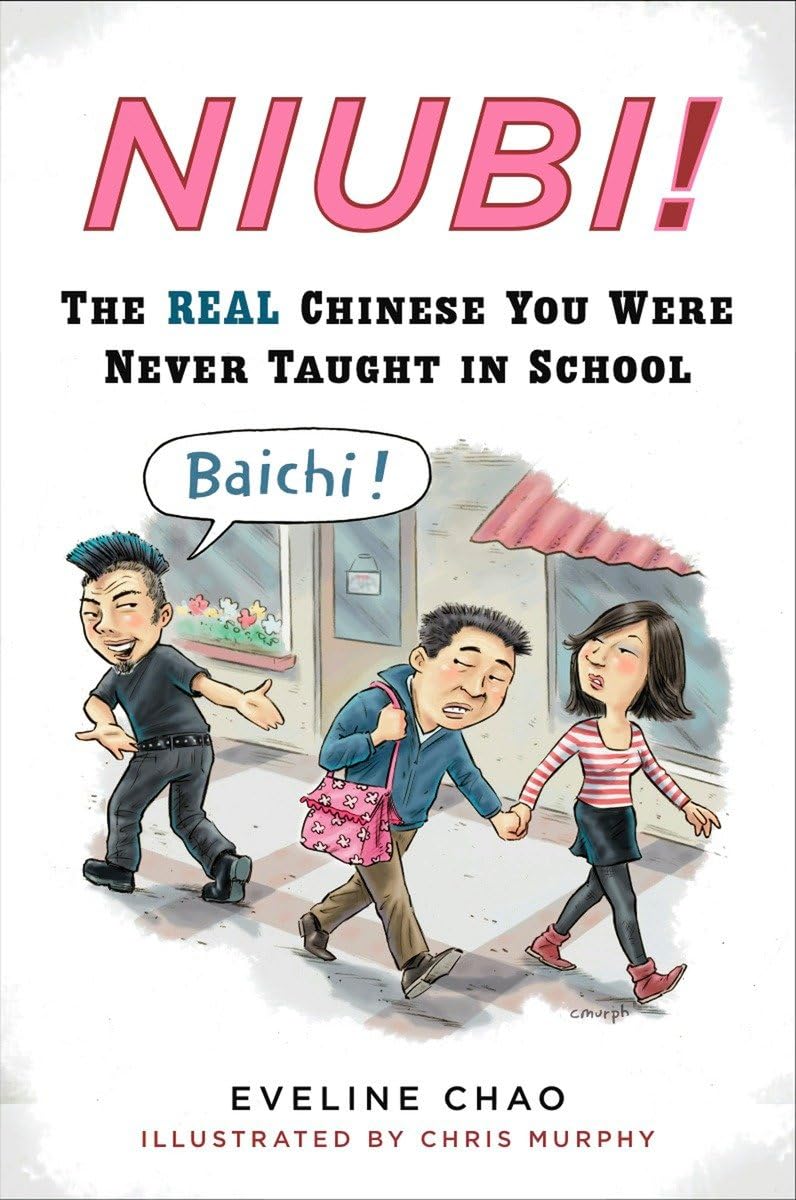 Niubi!: The Real Chinese You Were Never Taught In School,Used