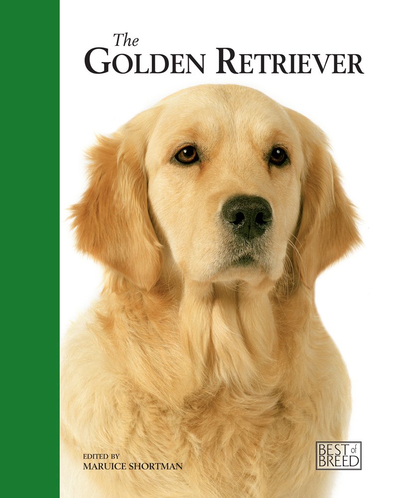 The Golden Retriever (Best Of Breed),Used