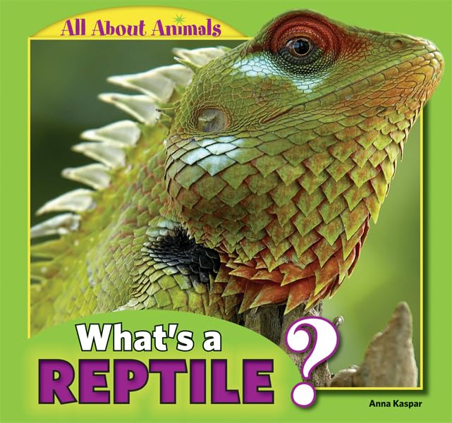 What'S A Reptile? (All About Animals),Used