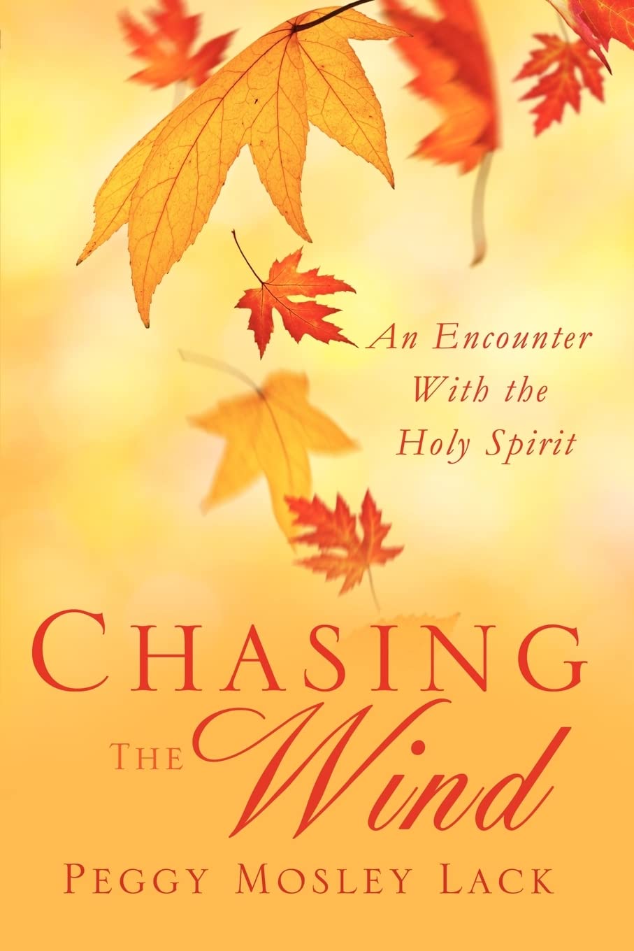 Chasing The Wind,Used
