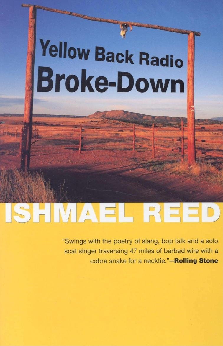Yellow Back Radio BrokeDown (American Literature (Dalkey Archive)),Used