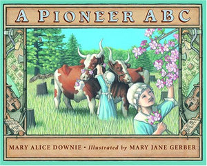 A Pioneer ABC,Used