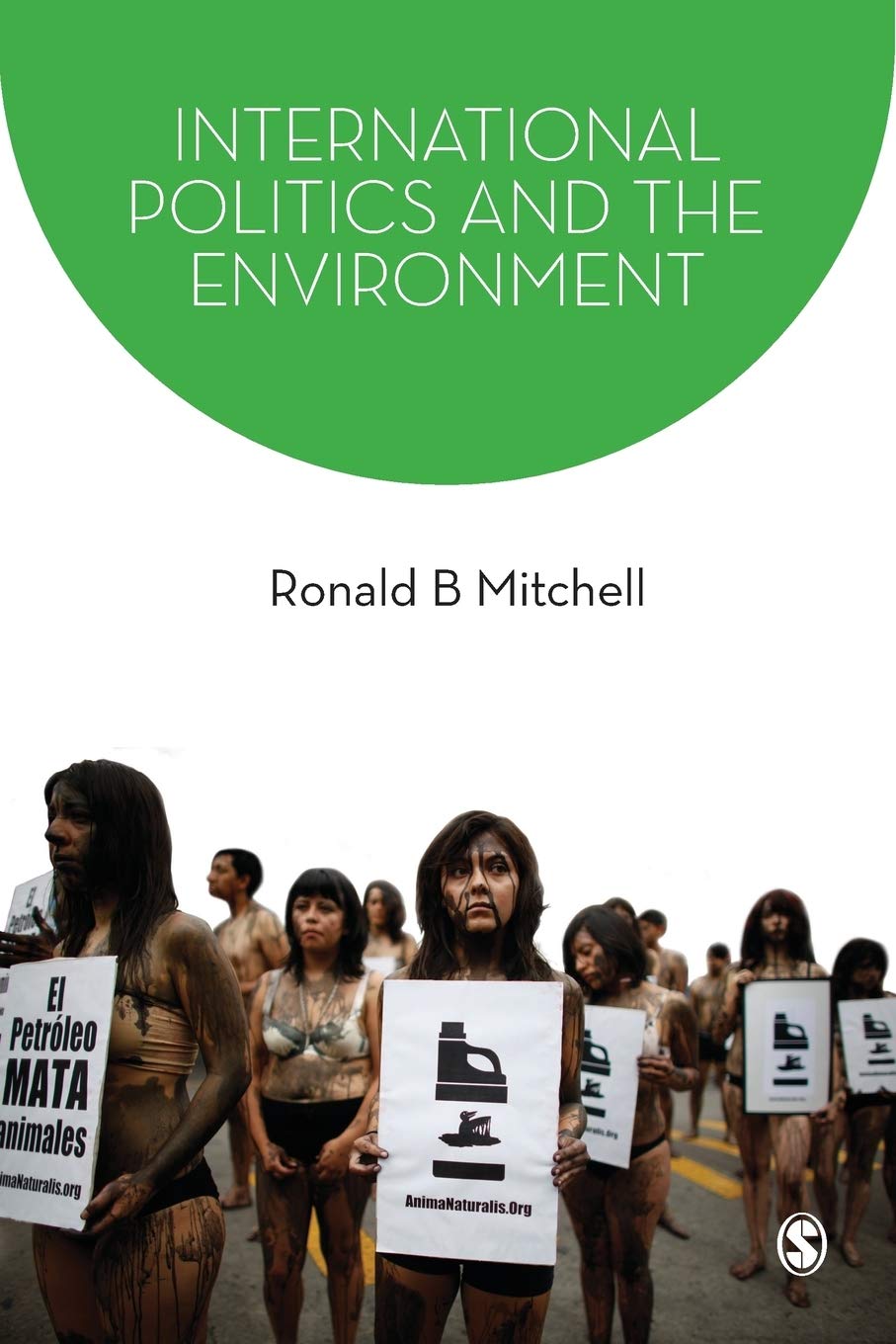 International Politics and the Environment (SAGE Series on the Foundations of International Re),Used