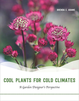 Cool Plants For Cold Climates: A Garden Designer'S Perspective,New