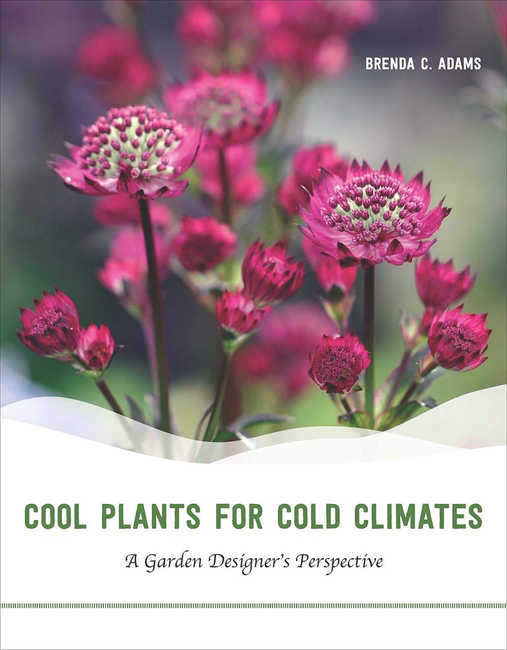 Cool Plants For Cold Climates: A Garden Designer'S Perspective,New