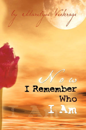 Now I Remember Who I Am,Used