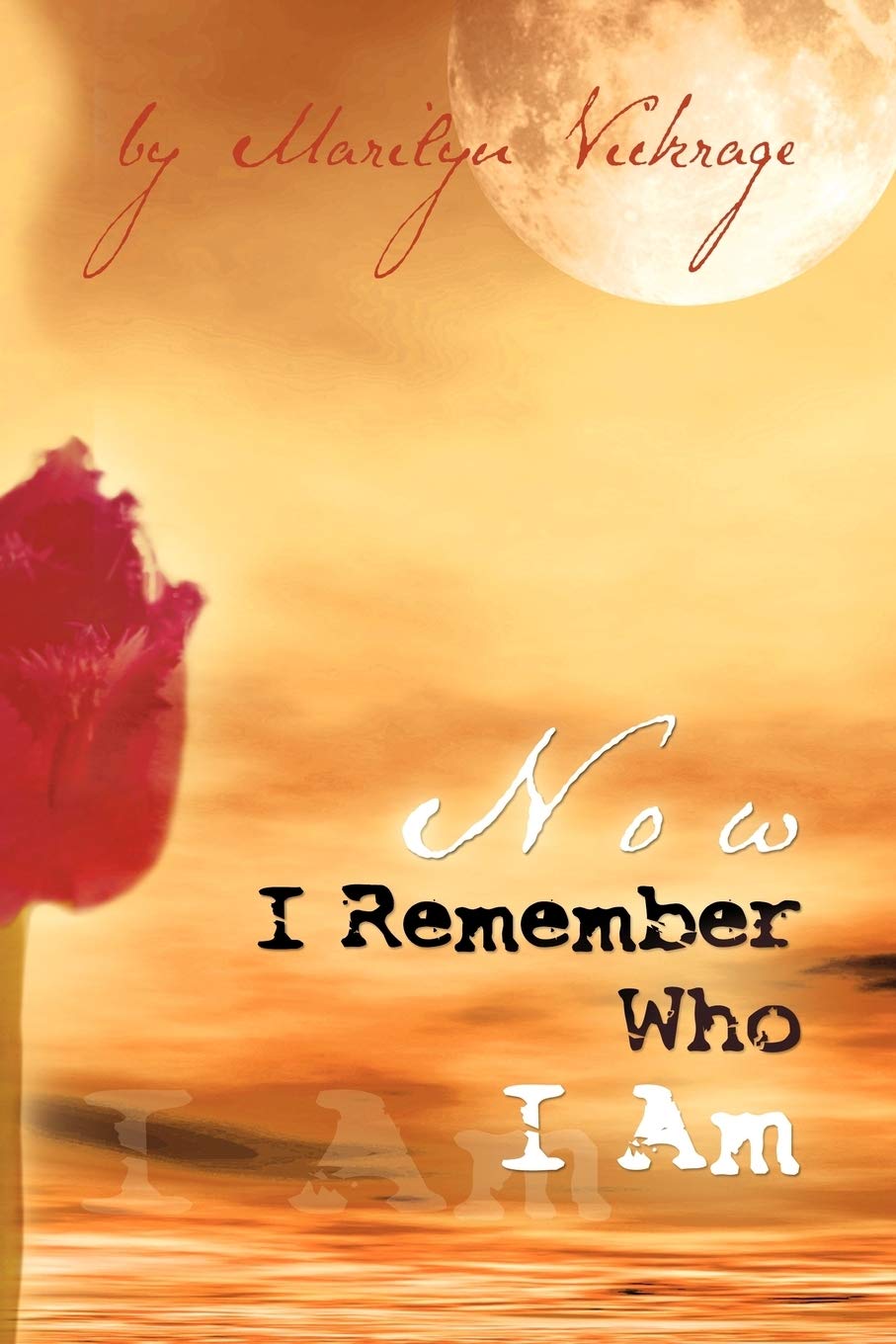Now I Remember Who I Am,Used