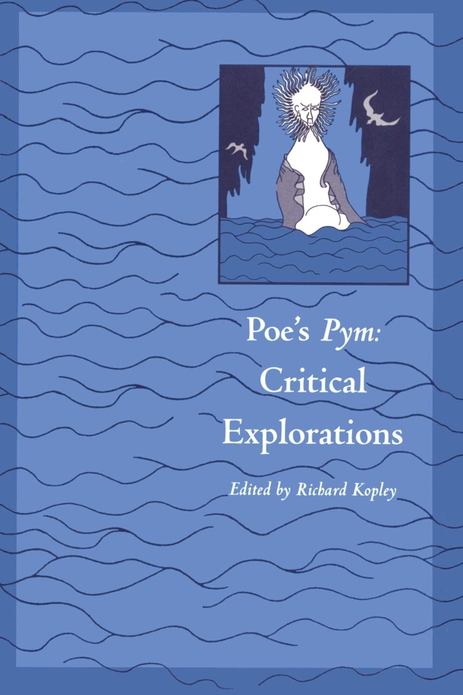 Poe'S Pym: Critical Explorations,Used