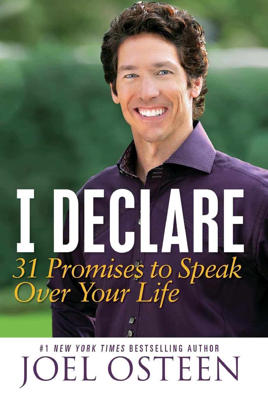I Declare: 31 Promises to Speak Over Your Life,New