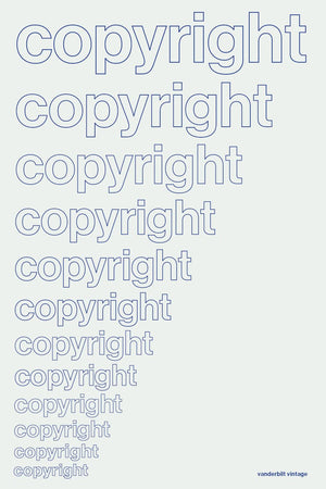 Copyright in Historical Perspective (Vintage Vanderbilt),Used