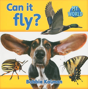 Can It Fly? (My World  Grl C),Used