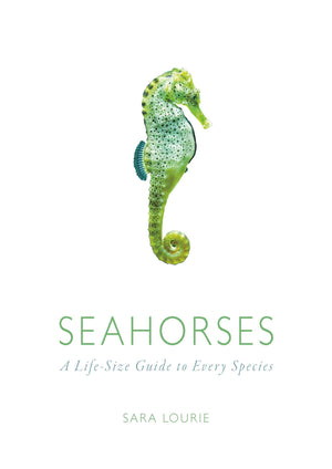 Seahorses: A LifeSize Guide to Every Species,Used