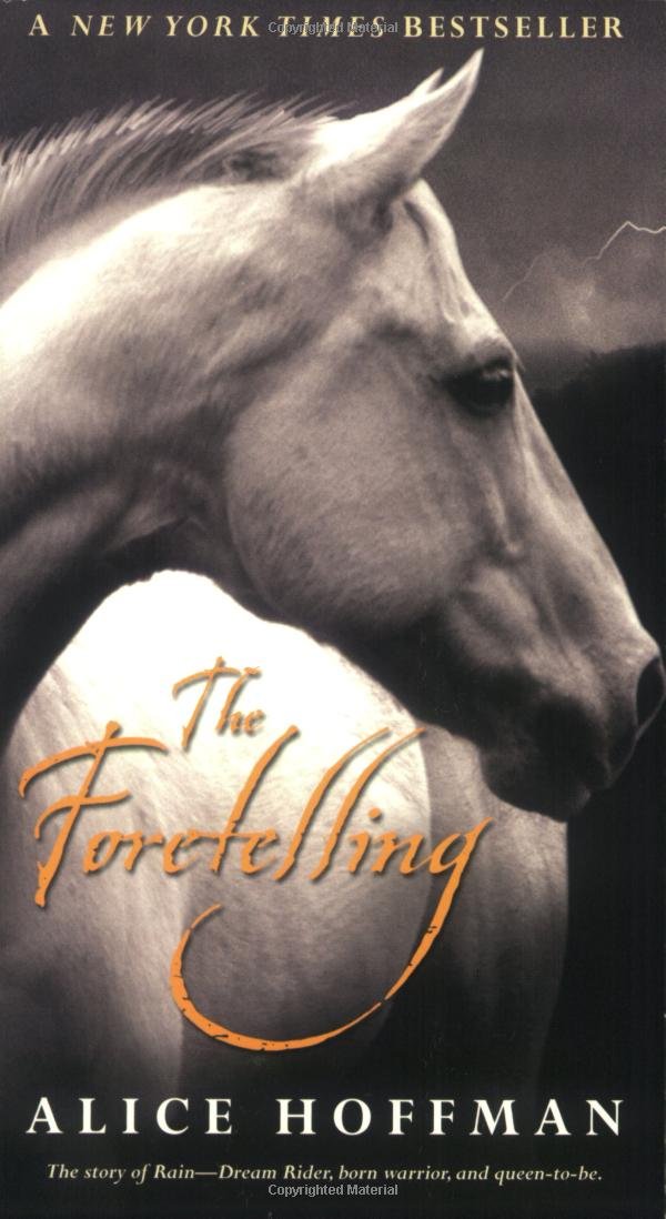 The Foretelling,Used