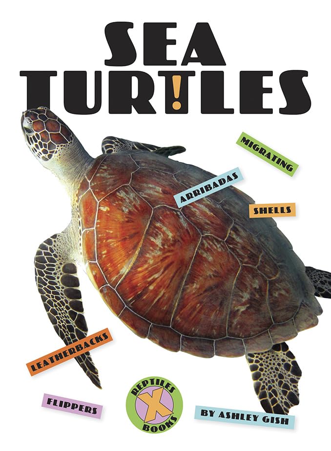 Sea Turtles,Used