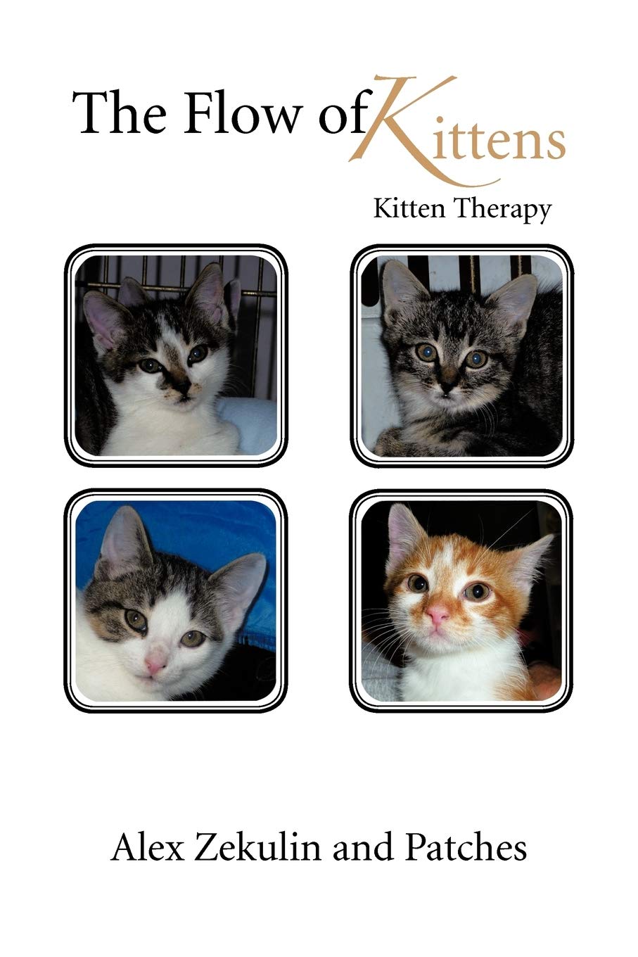 The Flow Of Kittens: Kitten Therapy,Used