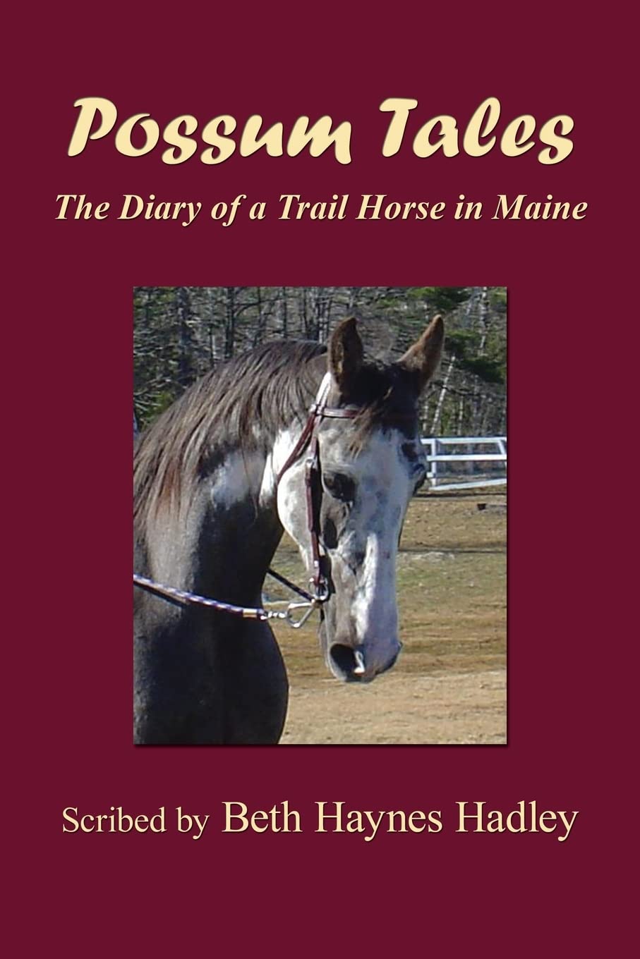 Possum Tales: The Diary Of A Trail Horse In Maine,Used