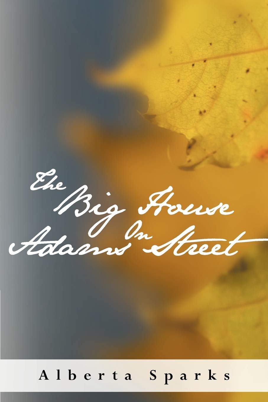 The Big House On Adams Street,Used