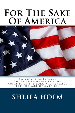 For The Sake Of America,Used