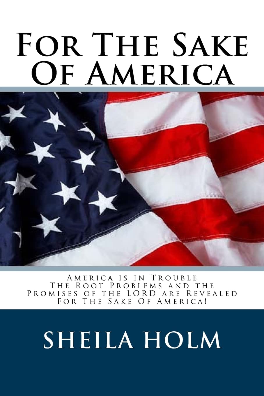 For The Sake Of America,Used