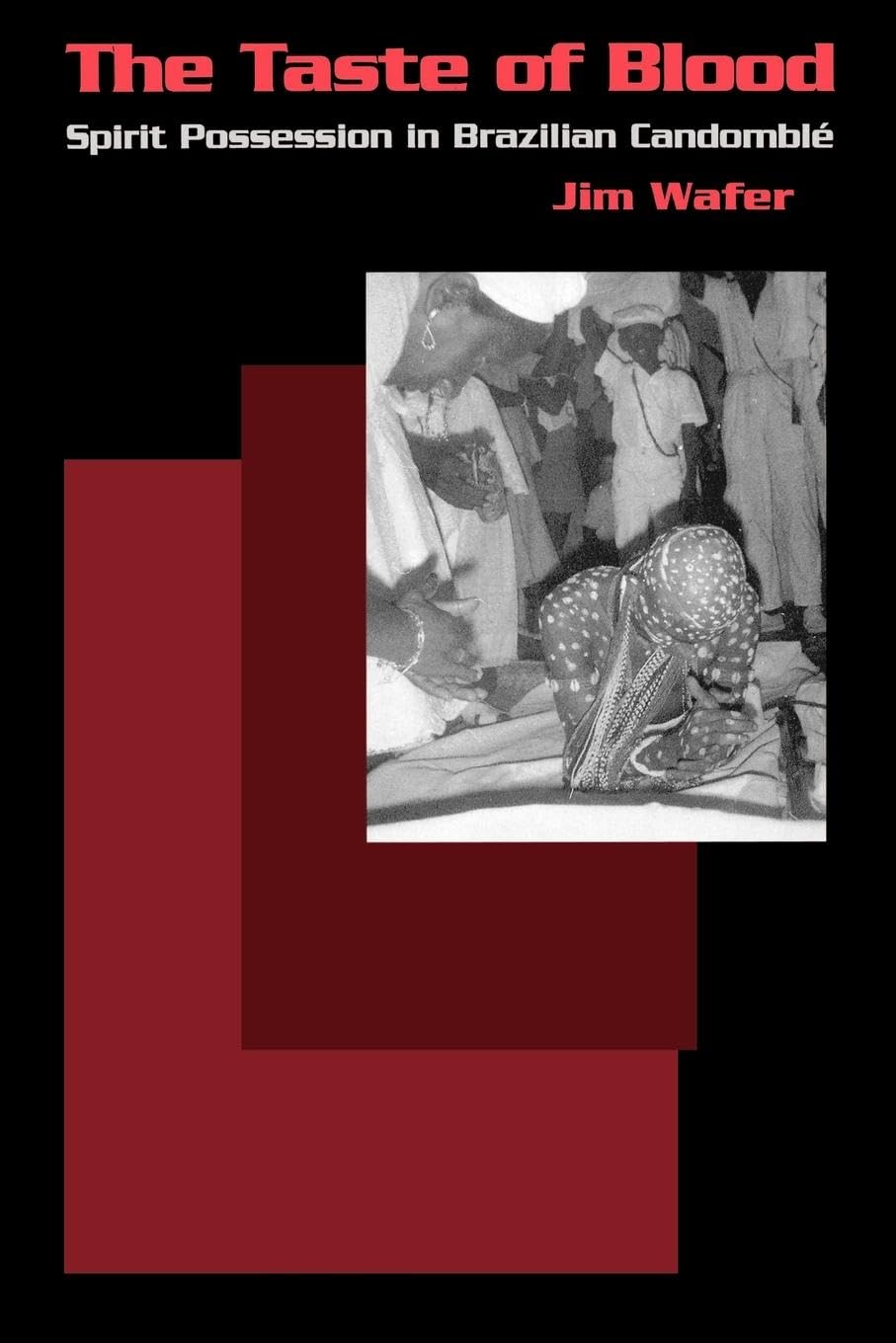The Taste Of Blood: Spirit Possession In Brazilian Candomble (Contemporary Ethnography),Used