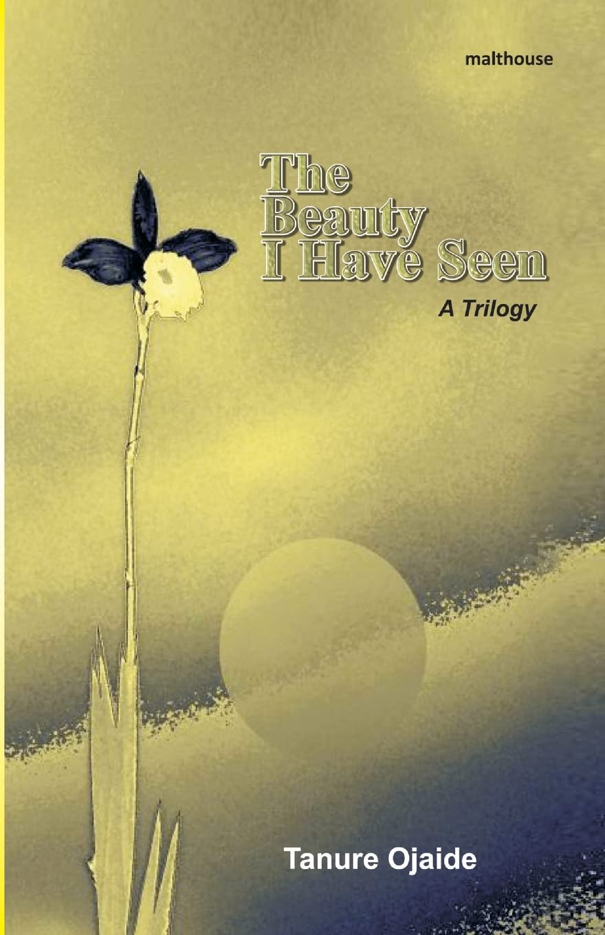 The Beauty I Have Seen: A Trilogy