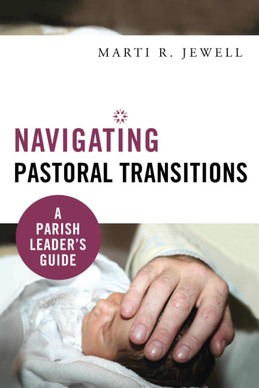 Navigating Pastoral Transitions: A Parish Leader'S Guide,Used