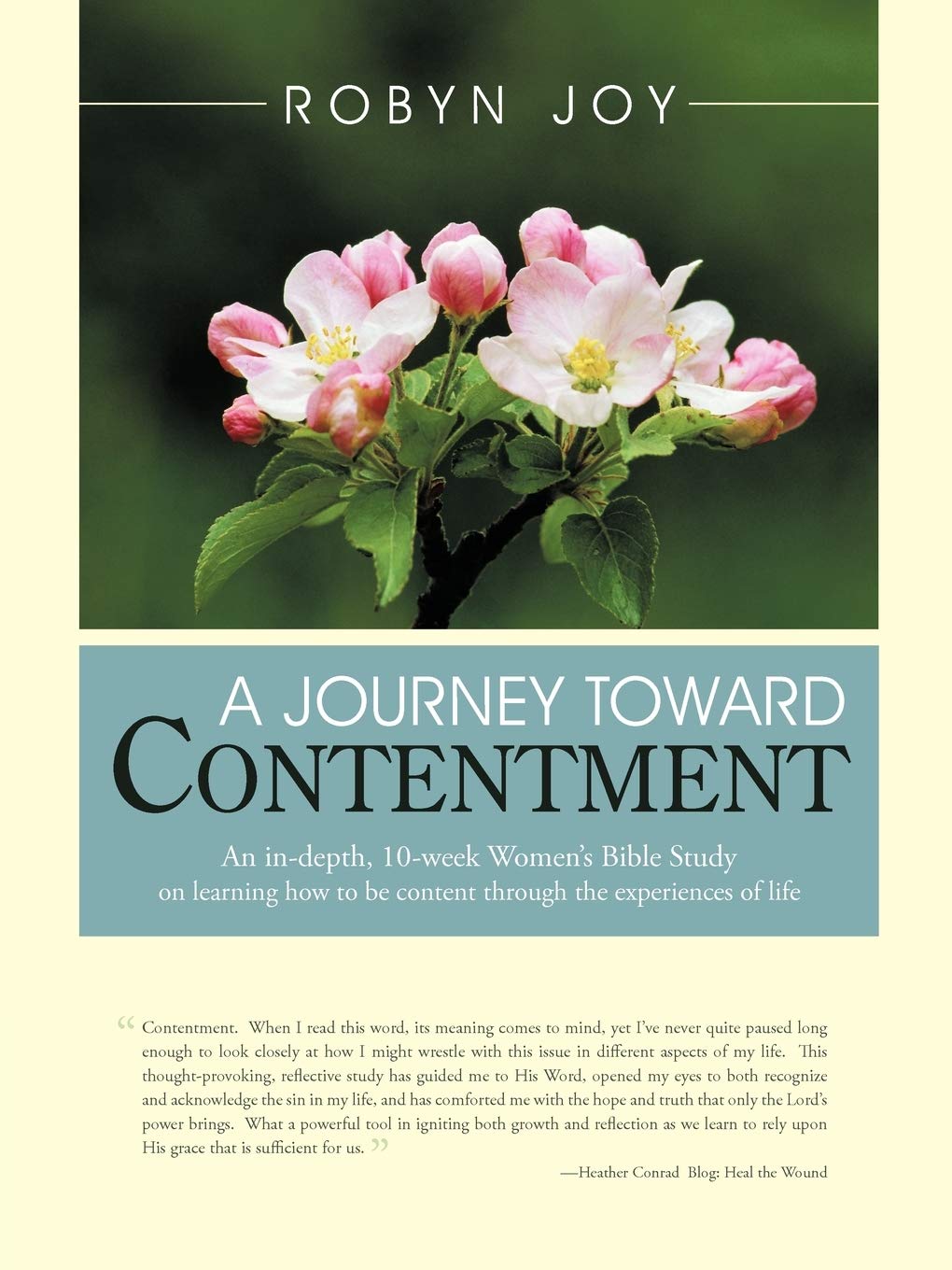 A Journey Toward Contentment,Used