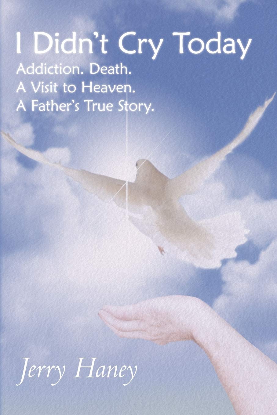 I Didn'T Cry Today: Addiction. Death. A Visit To Heaven. A Father'S True Story,Used