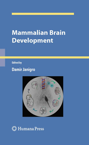Mammalian Brain Development (Contemporary Neuroscience),Used