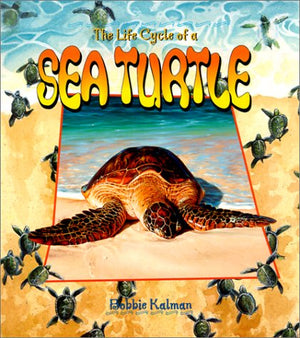 The Life Cycle of a Sea Turtle,Used