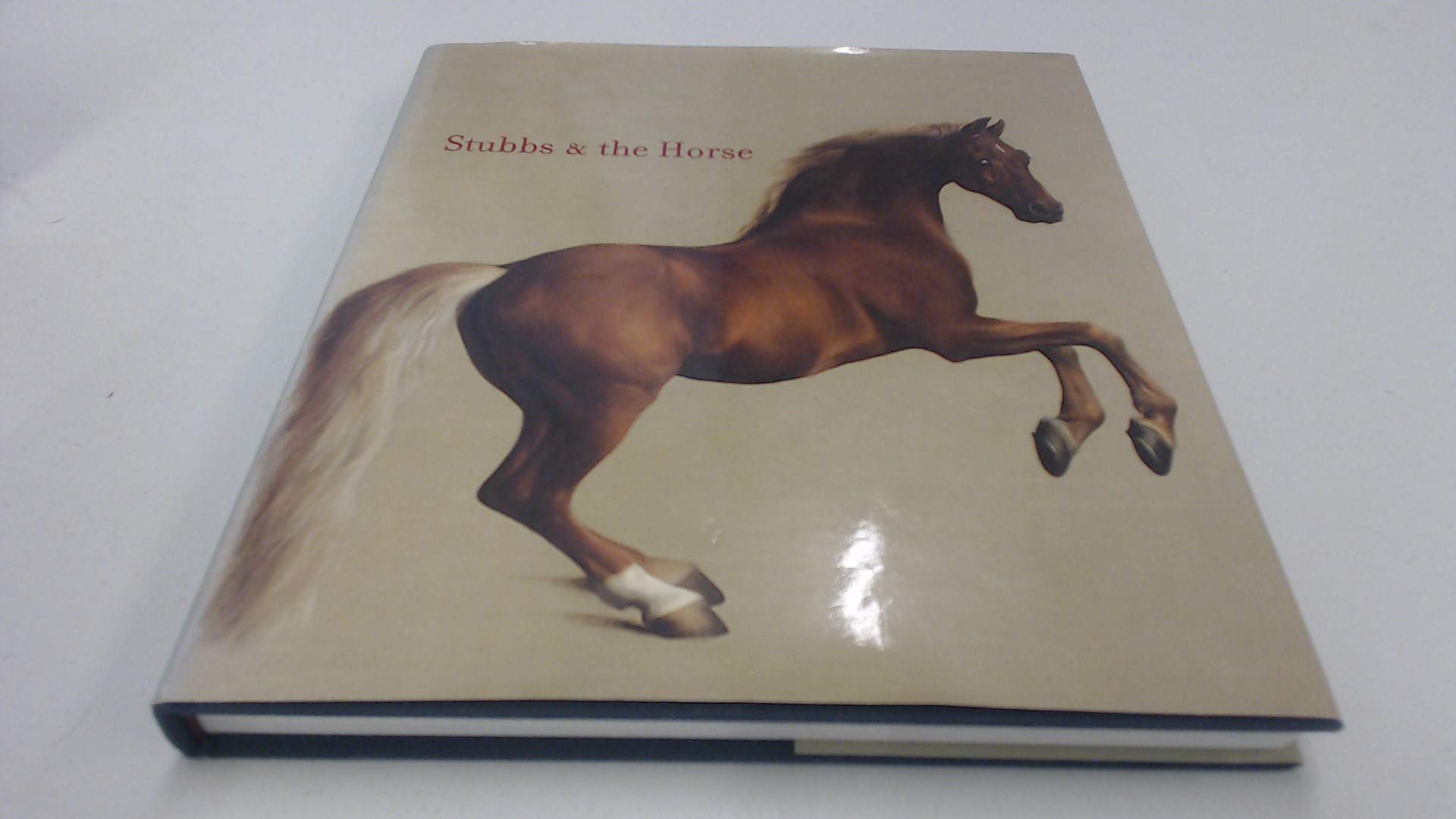 Stubbs & the Horse,New