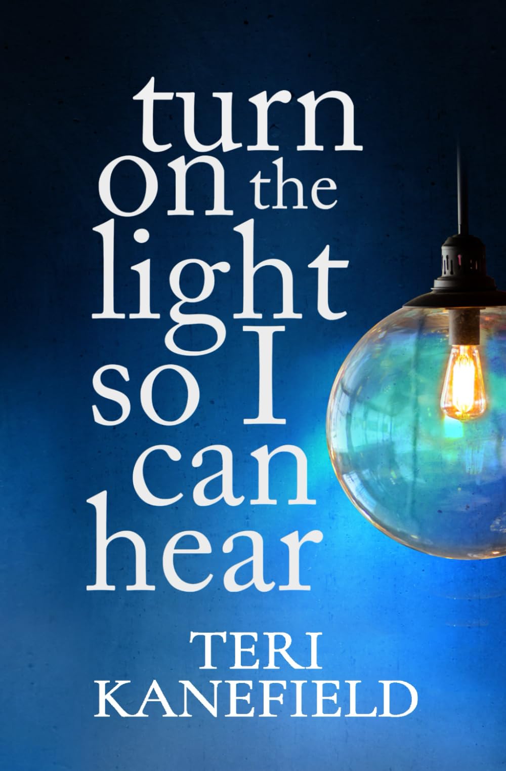 Turn On The Light So I Can Hear,Used