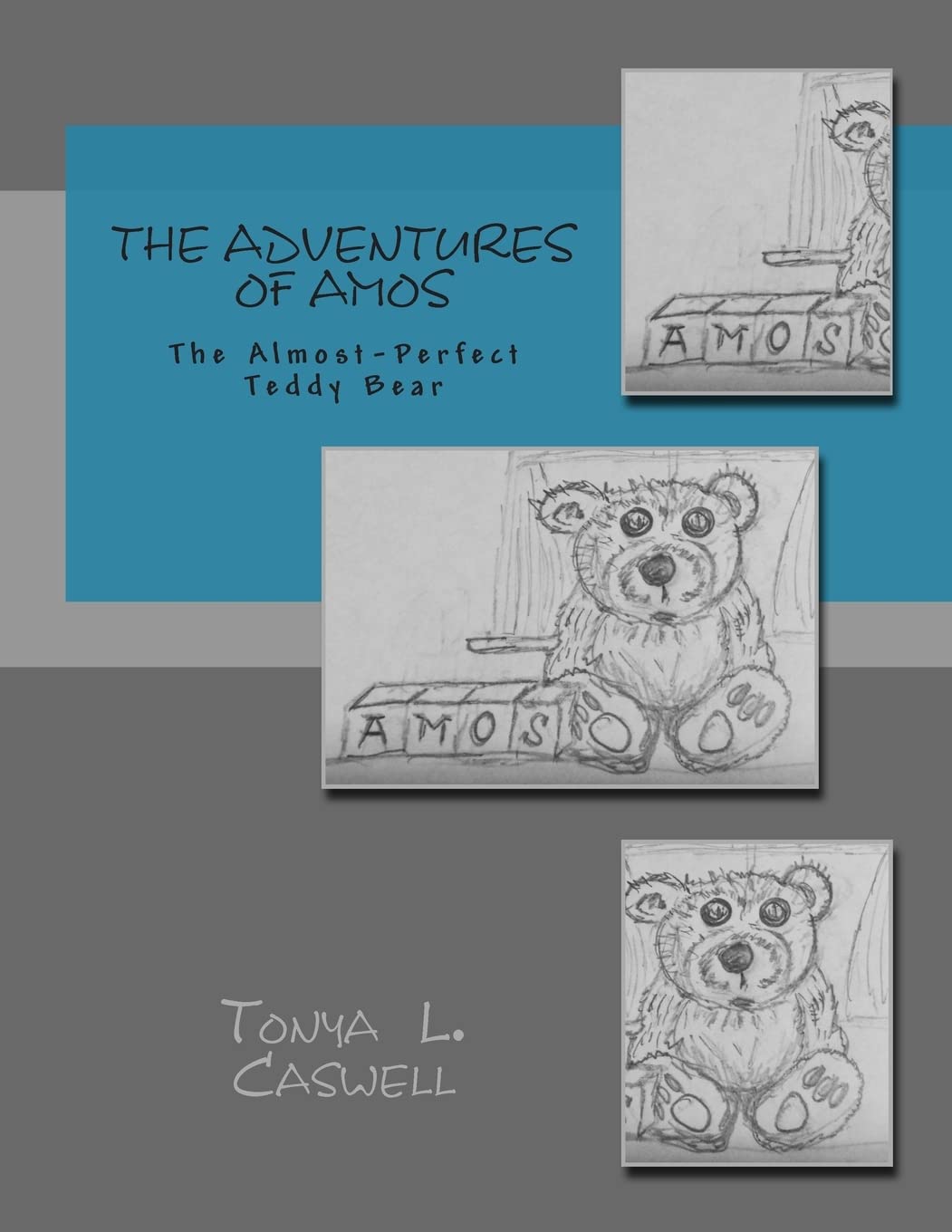 The Adventures of Amos, The AlmostPerfect Teddy Bear,Used