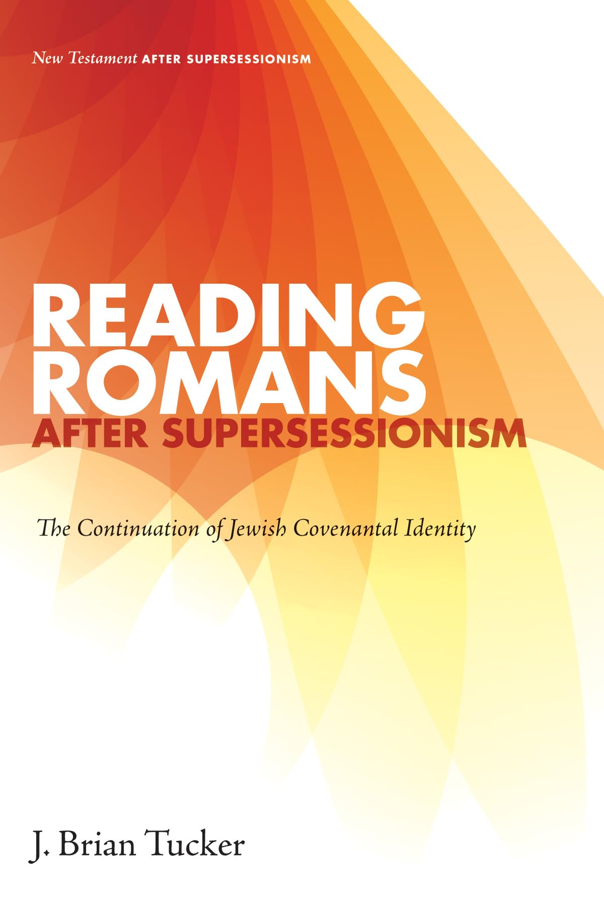 Reading Romans after Supersessionism: The Continuation of Jewish Covenantal Identity (New Testament after Supersessionism)